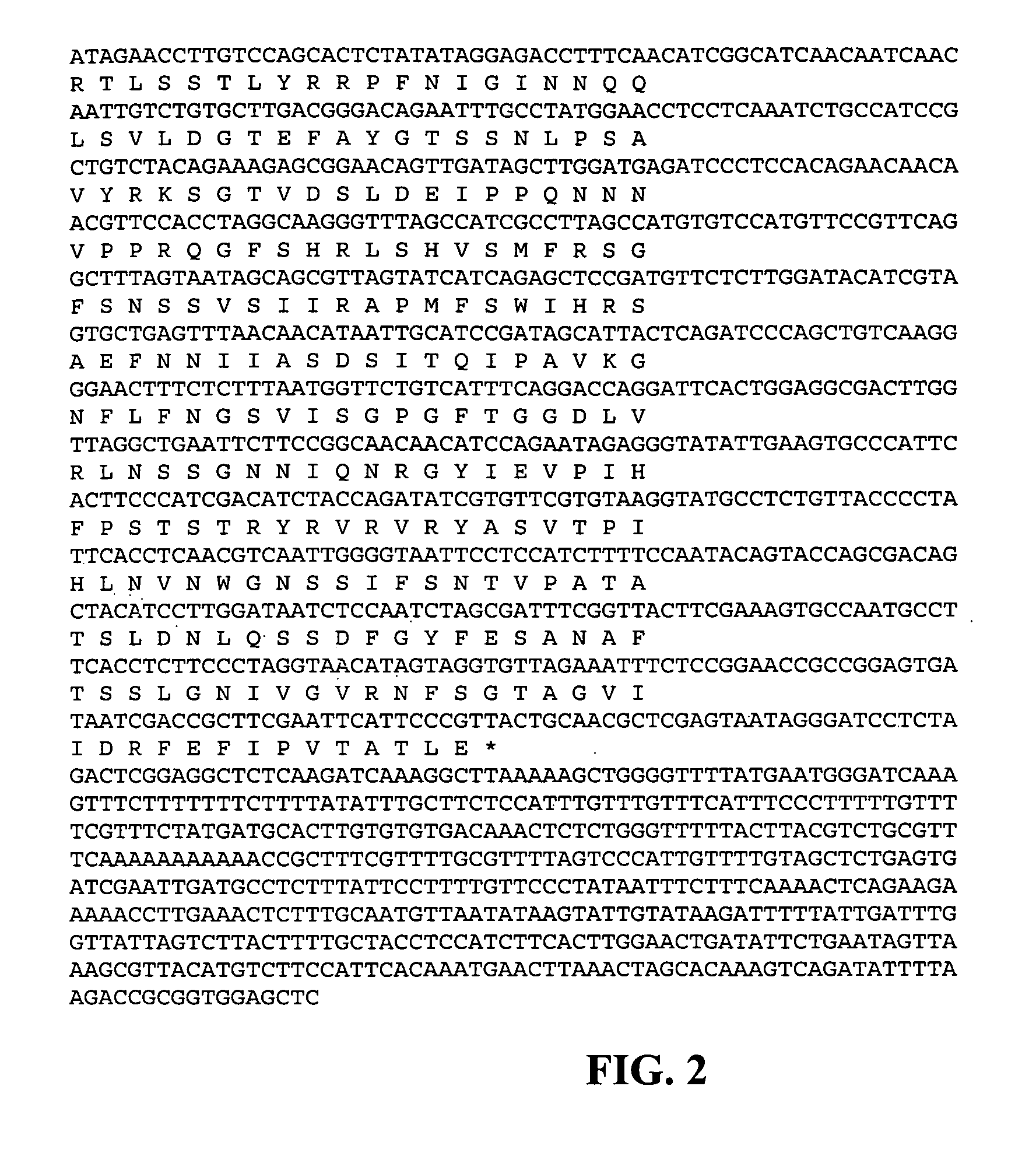 Plant Production and Delivery System for Recombinant Proteins as Protein-Flour or Protein-Oil Compositions