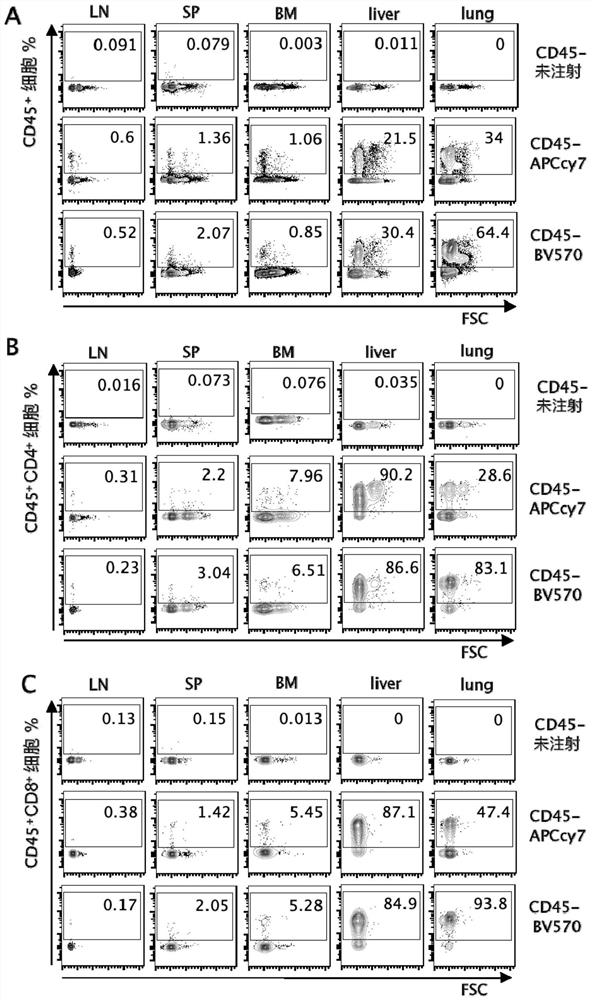 Method for recognizing mouse intravascular and extravascular lymphocytes and application thereof