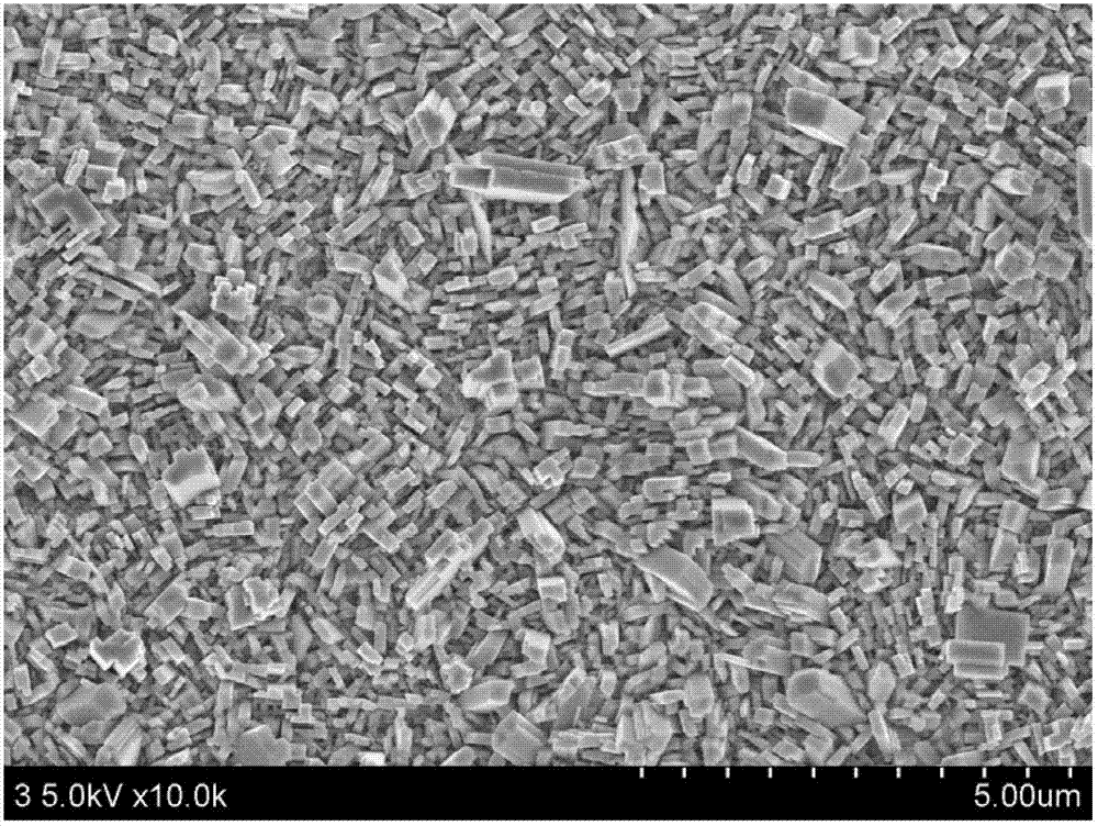 Method for preparing vertically aligned tungsten oxide nano structural electrochromic film