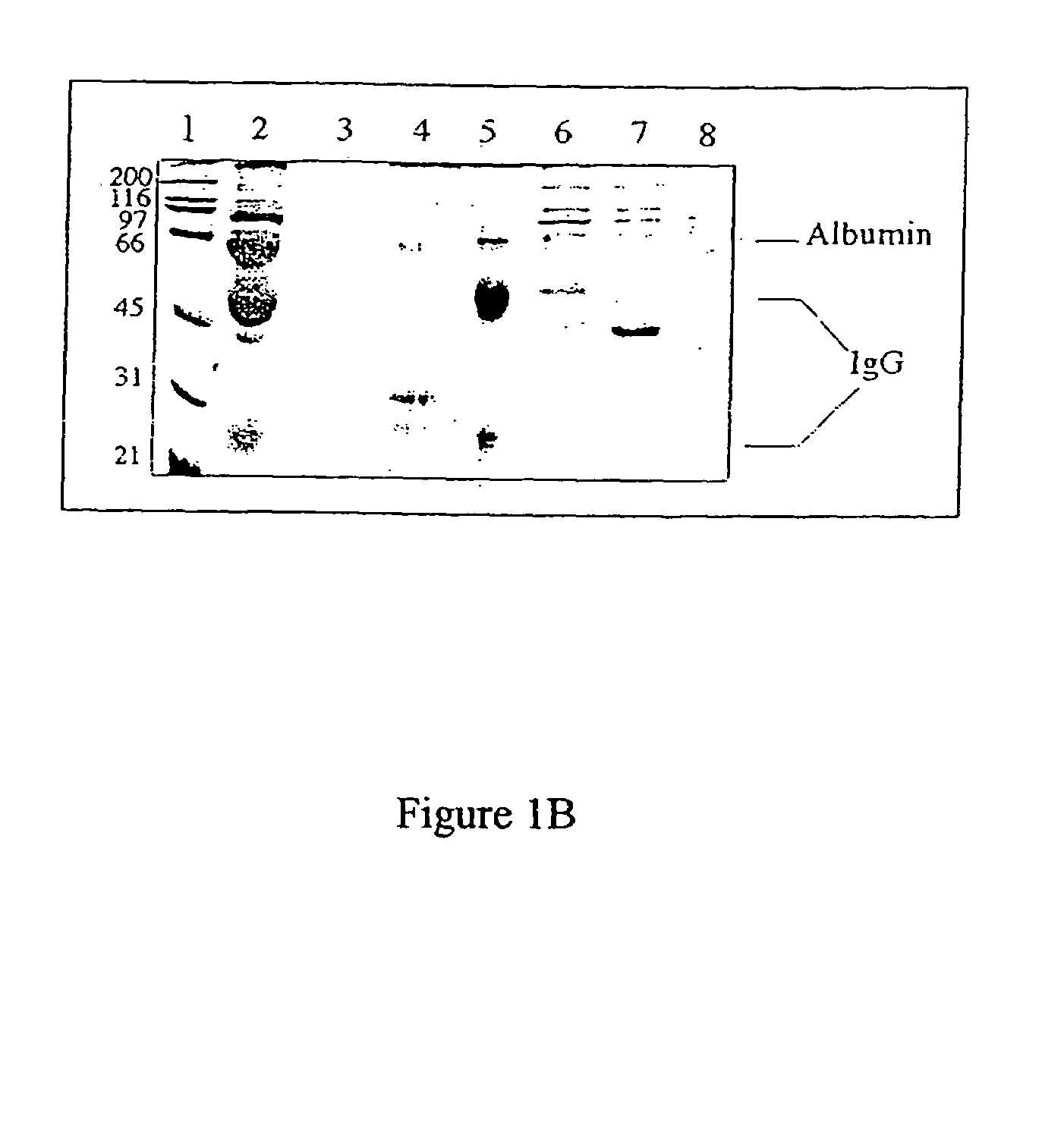 Carboxylic cationites and methods of manufacture