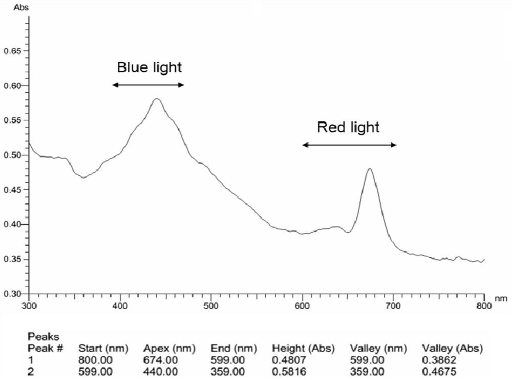 Method for increasing fucoxanthin content in fermented liquid of heterotrophic cultured Nitzschia smoothis by using light