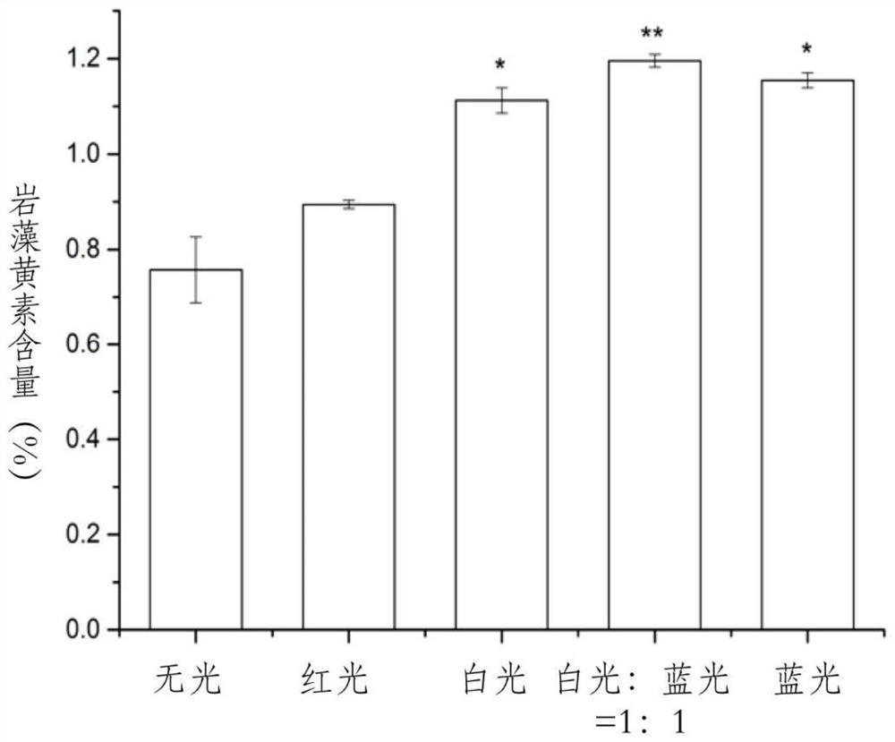 Method for increasing fucoxanthin content in fermented liquid of heterotrophic cultured Nitzschia smoothis by using light