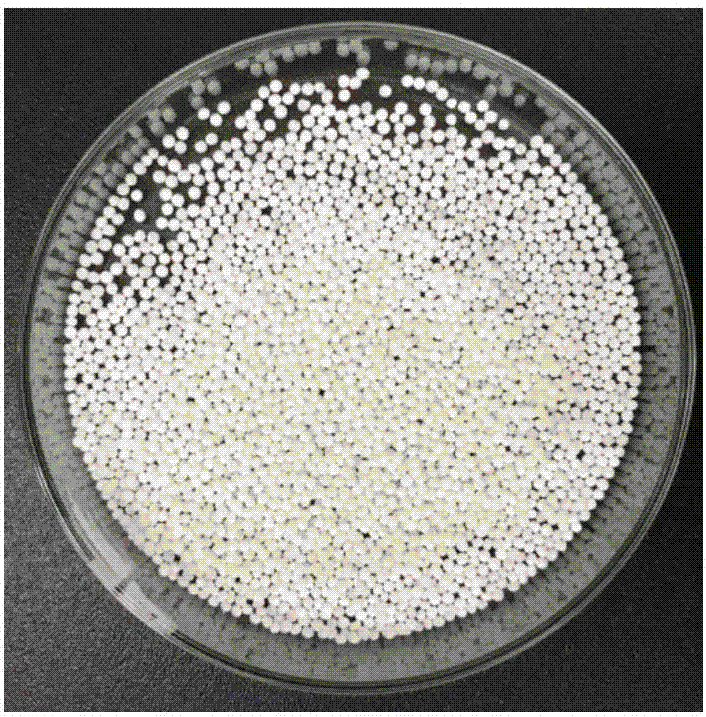 Porous interpenetrating network poly N-isopropylacrylamide/zirconium alginate gel ball, and preparation method and application thereof