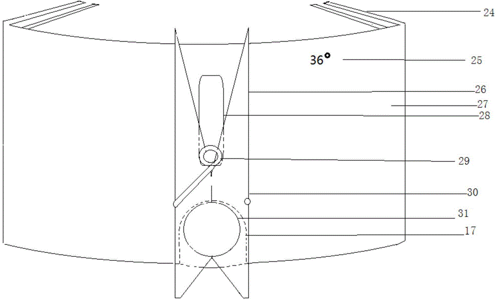 Fixing device for mouse caudal intravenous injection