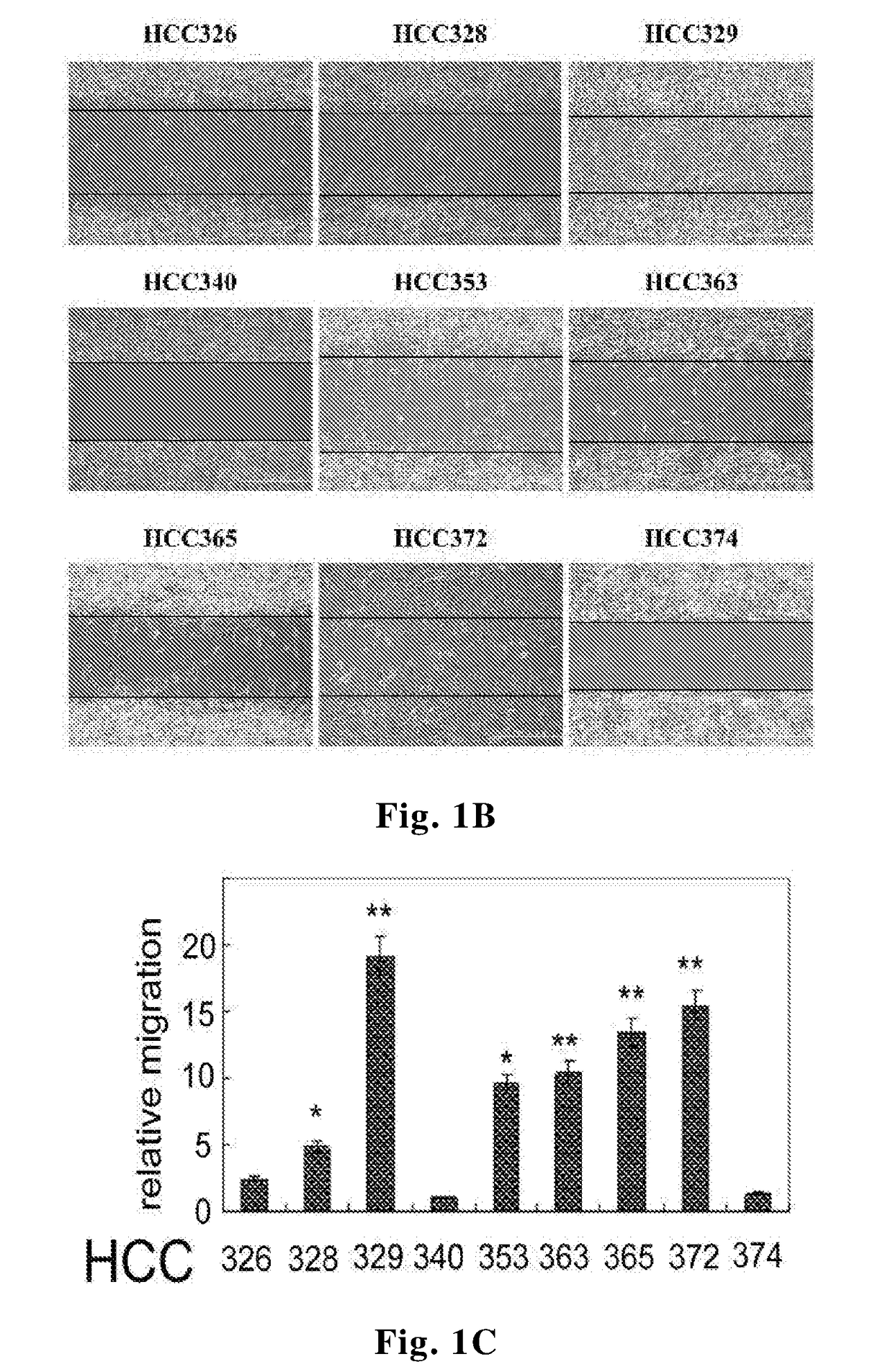 Methods and compositions for treating c-met associated cancers