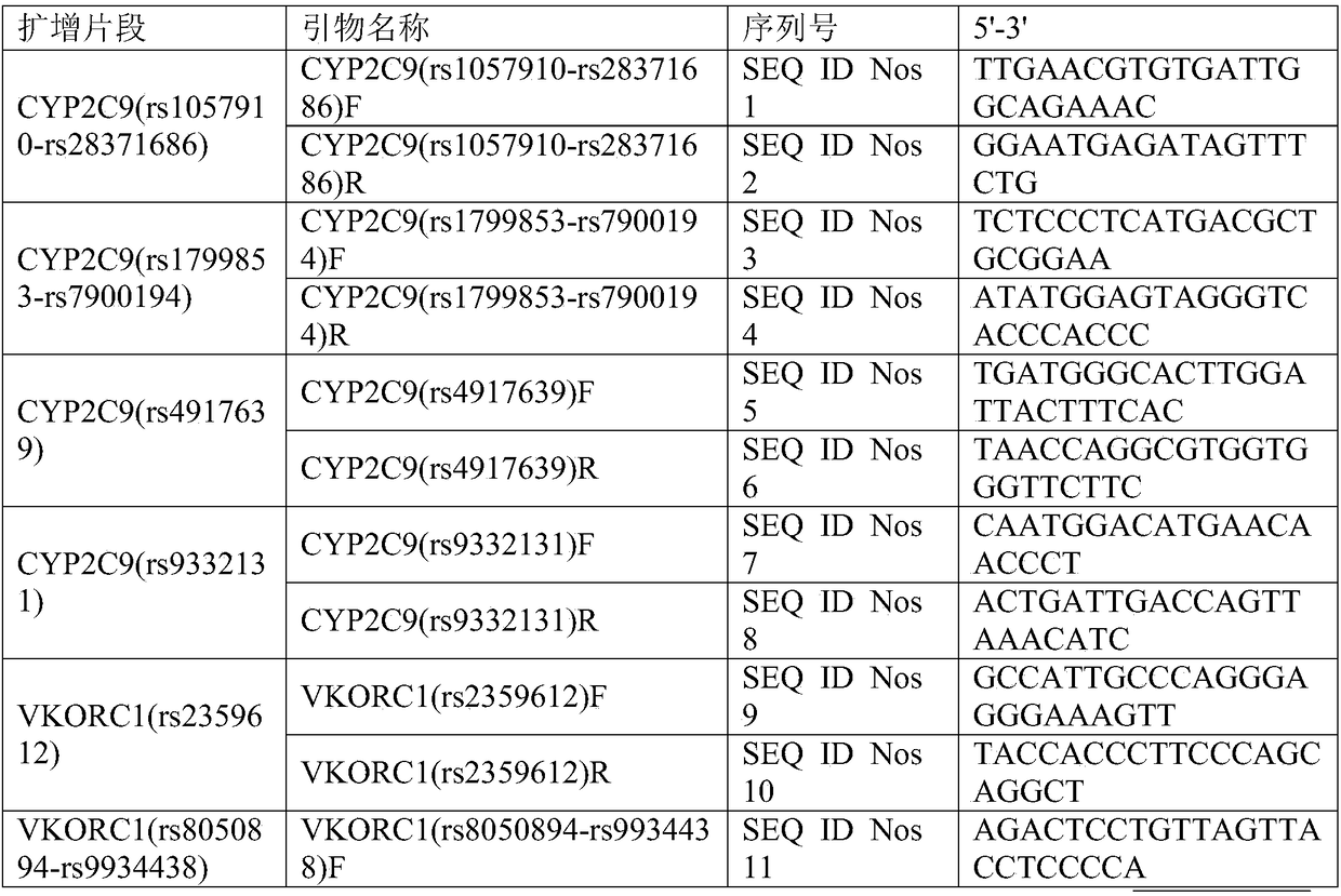 Detection method and detection kit for polymorphism of CYP2C9 and VKORC1 genes