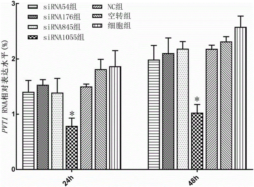 PVT1 siRNA-1055 for inhibiting blood tumor cell proliferation and application thereof