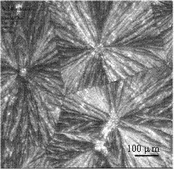 A method for regulating the growth of spherical rubrene crystal thin films by co-solvent of polymer-induced layer