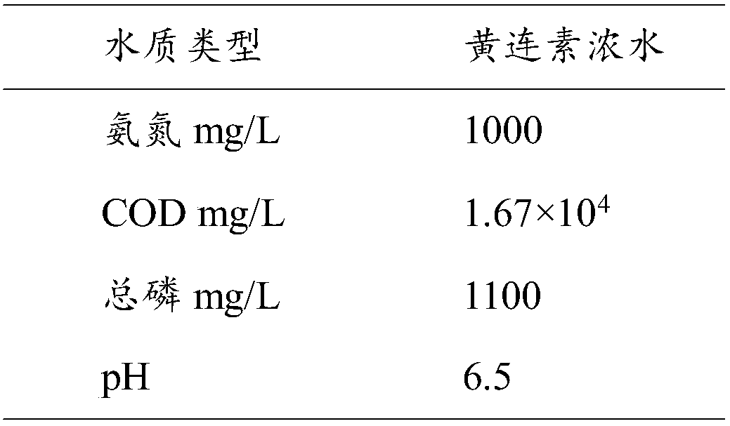 Compound microorganism bacterium agent as well as preparation method and application thereof