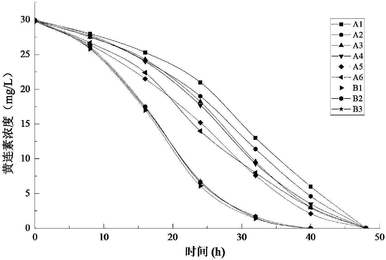 Compound microorganism bacterium agent as well as preparation method and application thereof