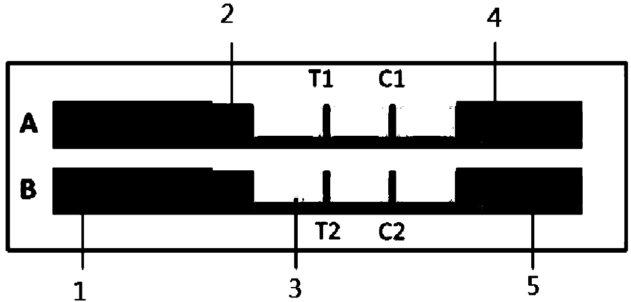 Test strip for detecting influenza viruses and preparation method thereof