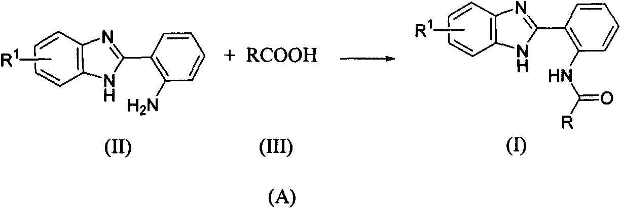 Benzimidazolyl containing amide derivative, preparation method therefor and application of benzimidazolyl containing amide derivative