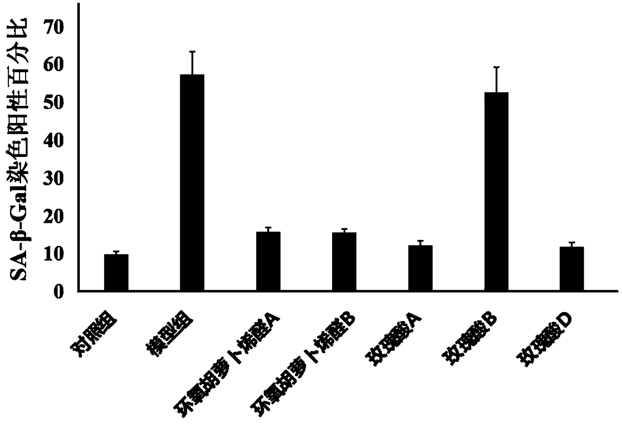 Application of epoxydaucenal A and B in hematopoietic stem cell aging resistance