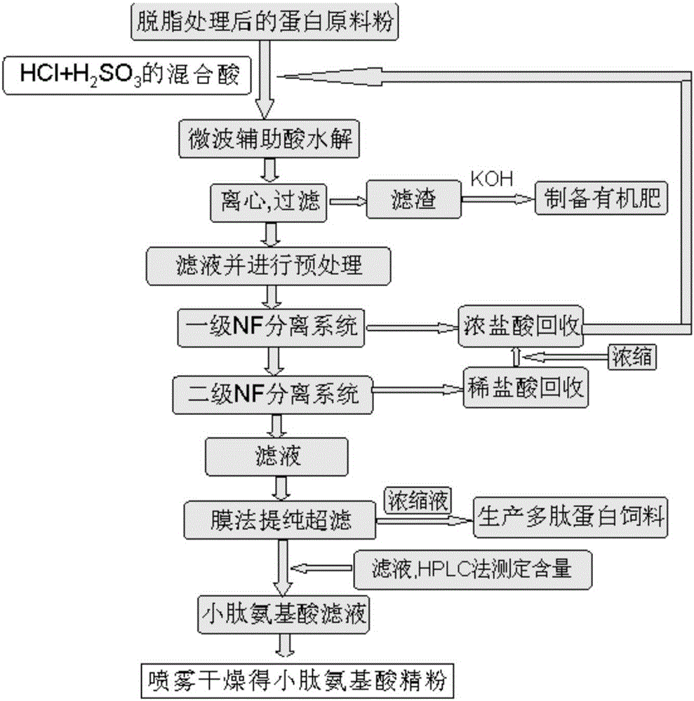 Microwave-assisted protein acid hydrolysis method for rapid preparation of small peptide amino acids