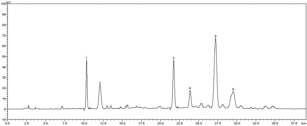 Microwave-assisted protein acid hydrolysis method for rapid preparation of small peptide amino acids