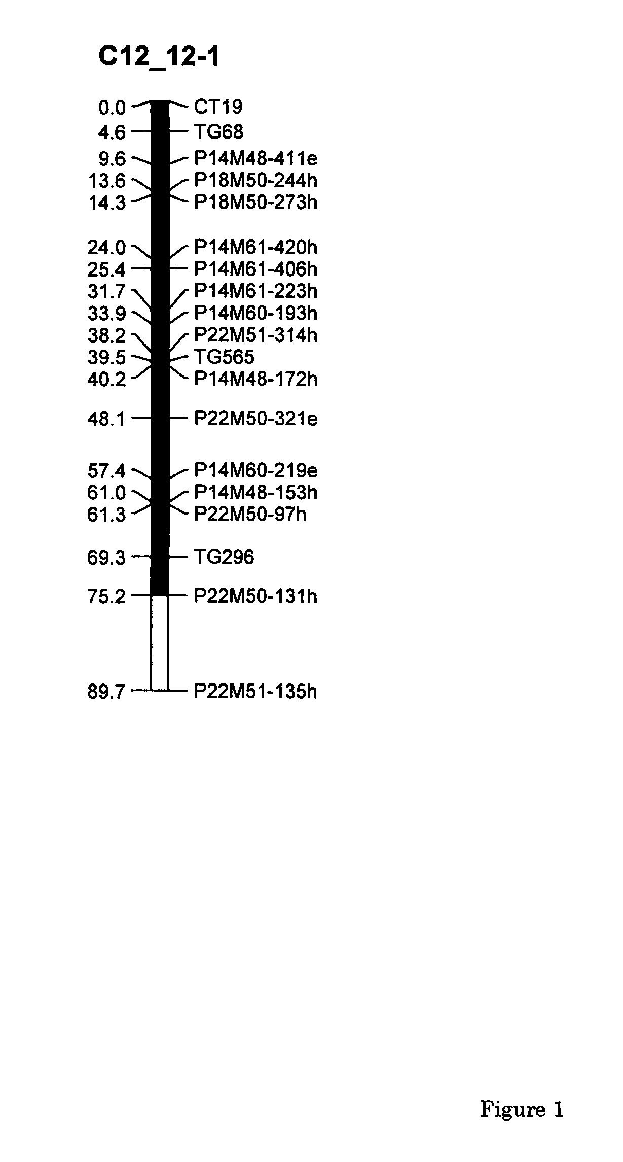 Parthenocarpic genetic elements derived from <i>S. habrochaites</i>