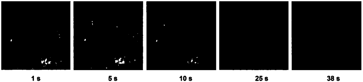 Microfluidic paper chip for chemiluminescence time resolution and detection as well as preparation method and application thereof