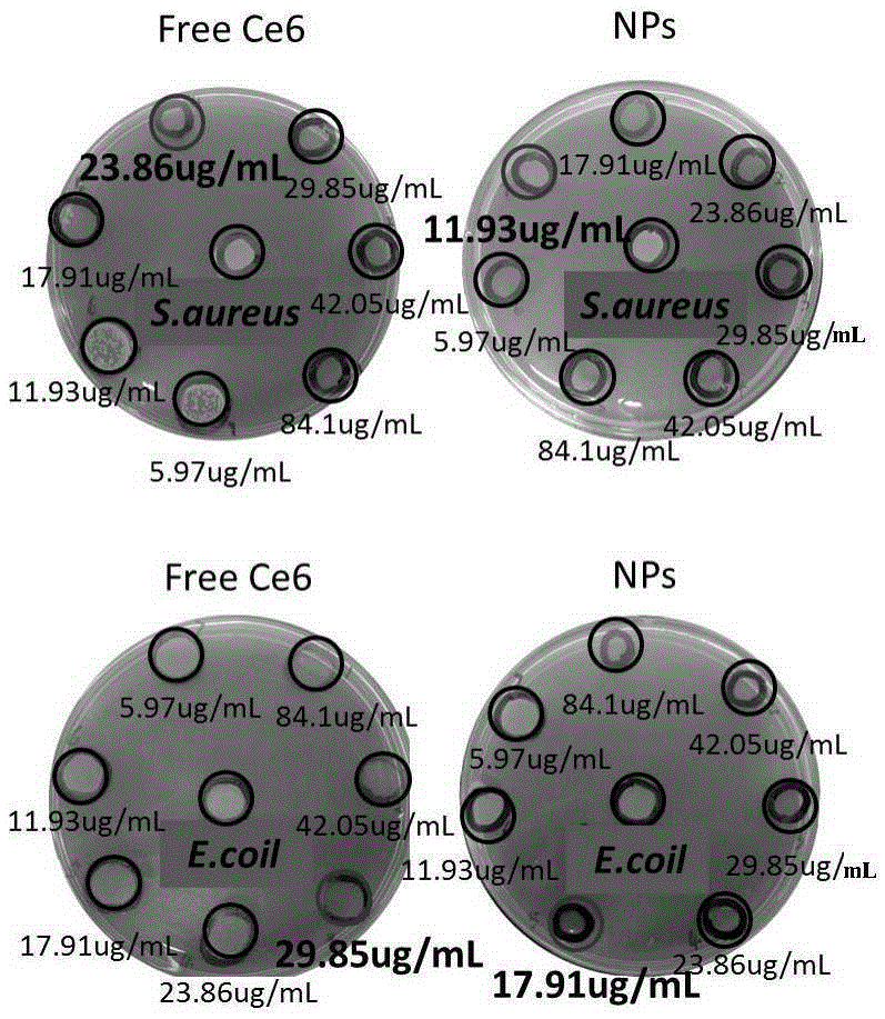 Antibacterial material with pH responsivity and light sensitivity and preparation method thereof