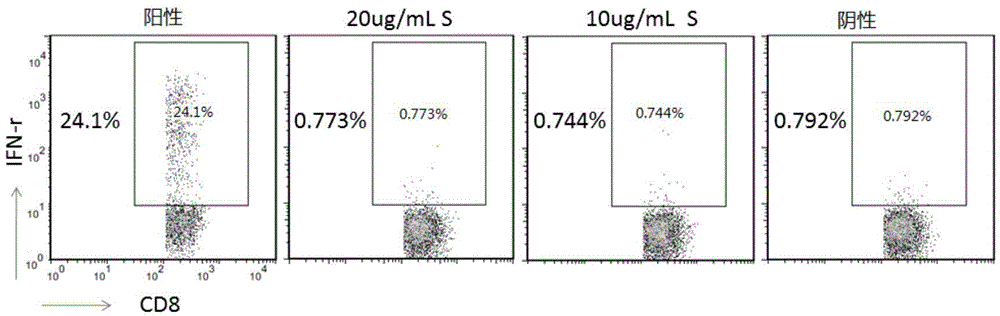 Cellular immunological detection kit for evaluating curative effect of vaccine and storage method thereof