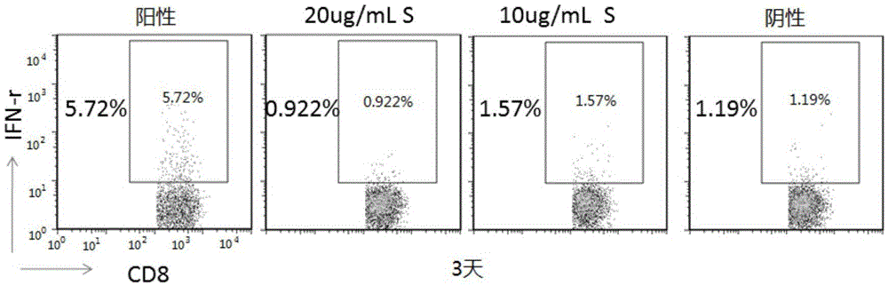 Cellular immunological detection kit for evaluating curative effect of vaccine and storage method thereof