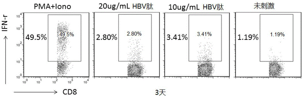 Cellular immunological detection kit for evaluating curative effect of vaccine and storage method thereof