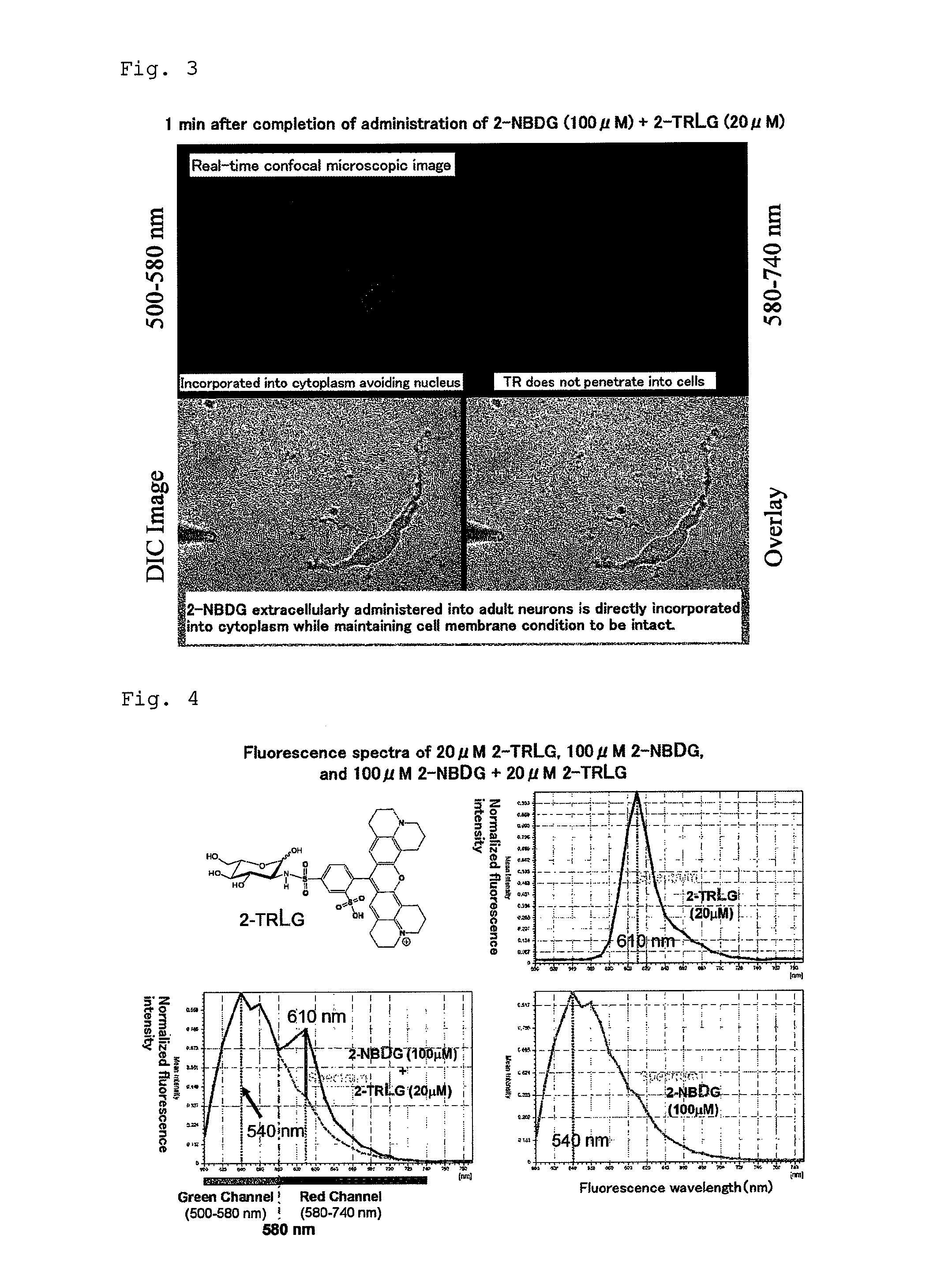 Method for evaluating specific incorporation of D-glucose into cells