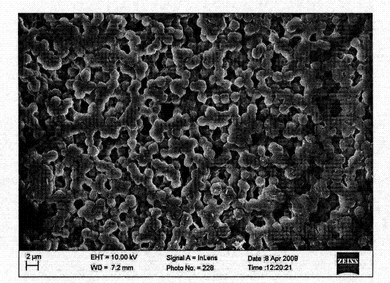 Preparation method of a non-hydrated proton exchange membrane for reducing methanol permeability