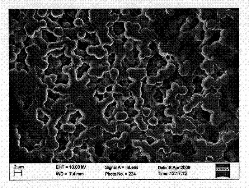 Preparation method of a non-hydrated proton exchange membrane for reducing methanol permeability