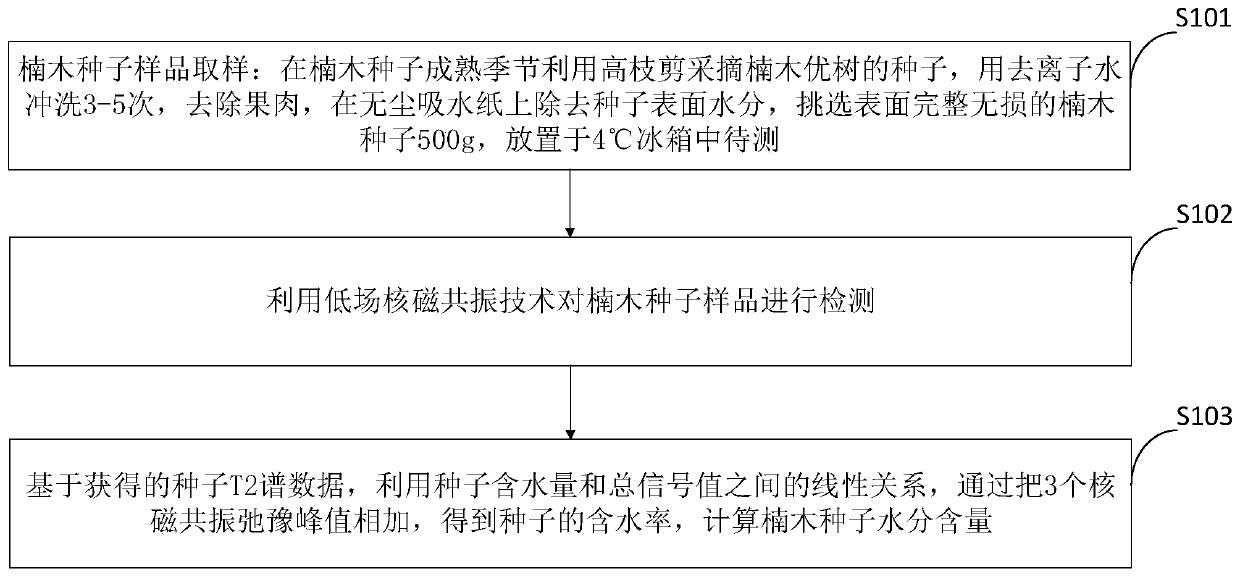 Method for measuring nanmu seed moisture content by using LF-NMR