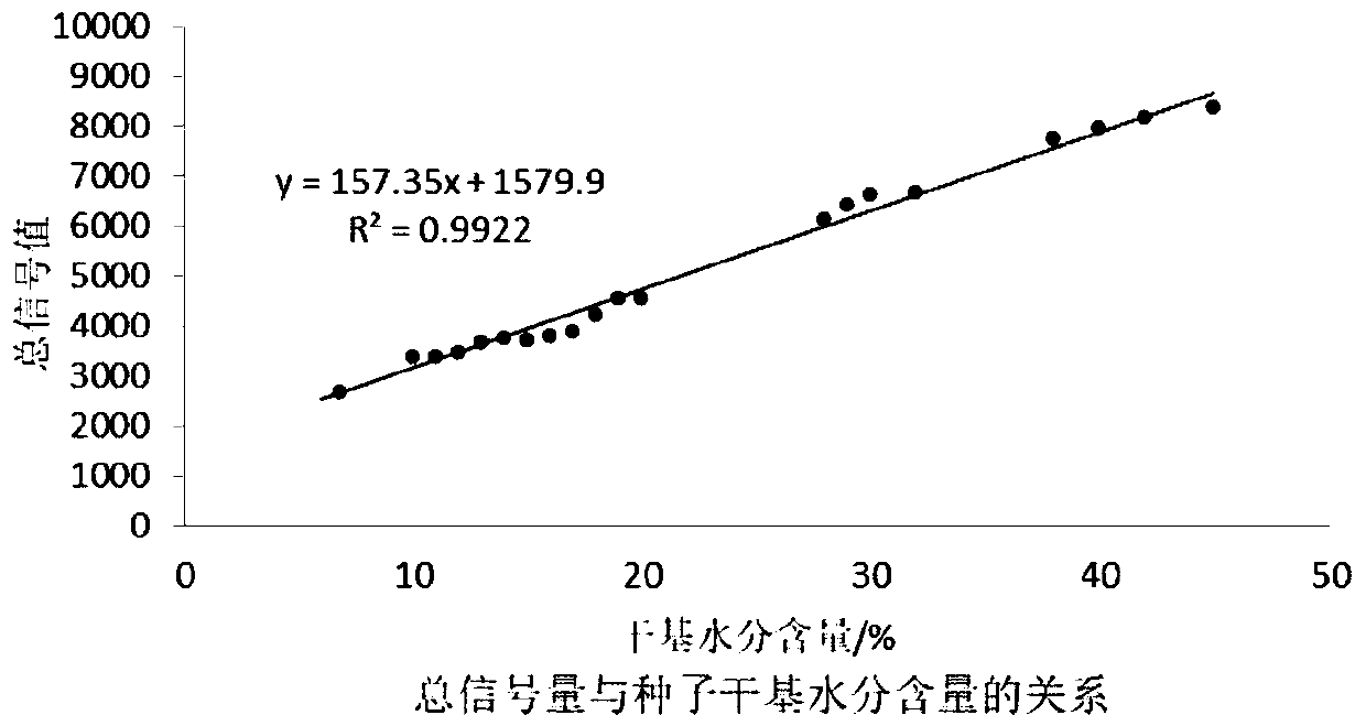 Method for measuring nanmu seed moisture content by using LF-NMR