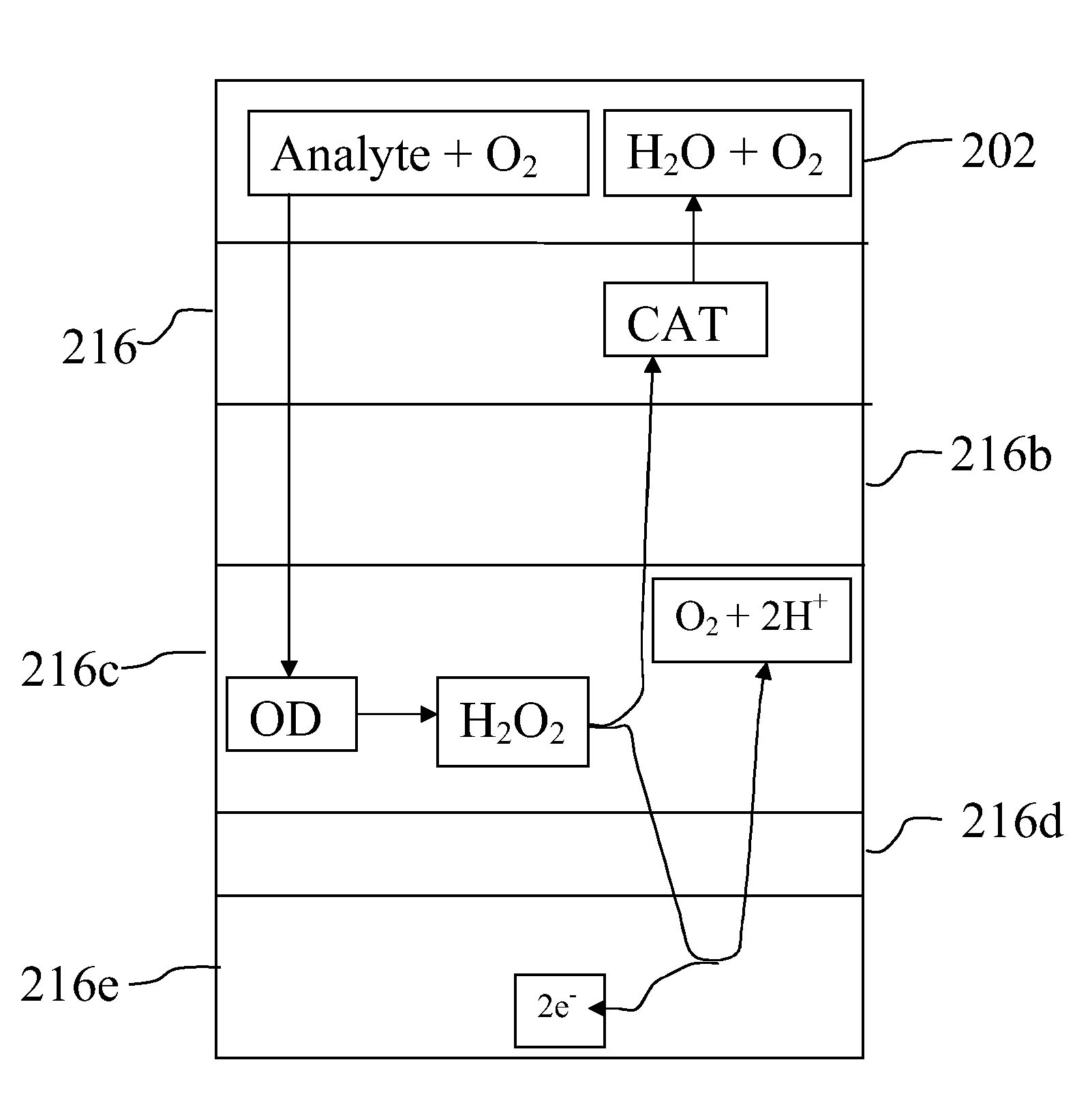 Sensor Arrangement for Continuously Monitoring Analytes in a Biological Fluid