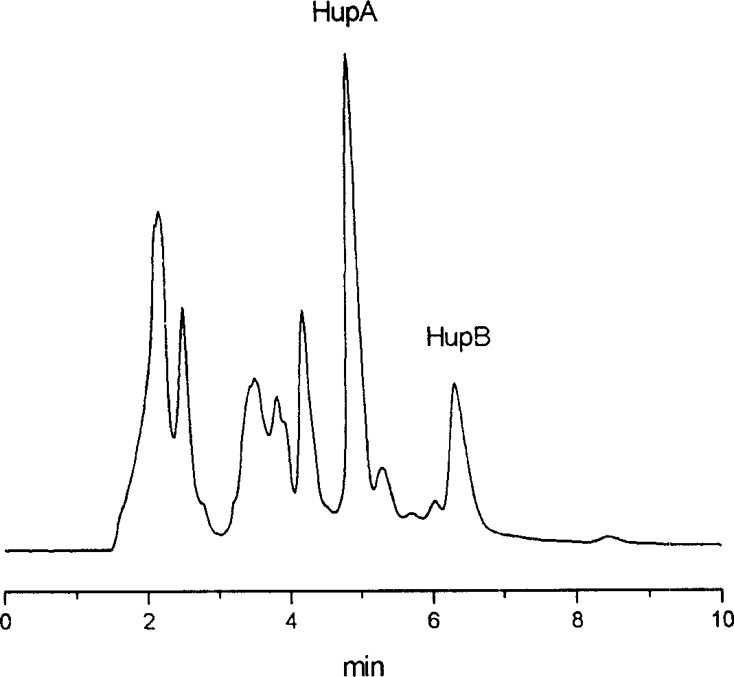 Method for analyzing and separating preparation of Huperzine A and Huperzine B