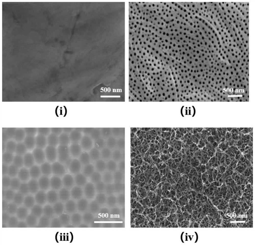 Titanium implant with nano bionic three-dimensional porous titanium trabecular structure as well as preparation method and application of titanium implant