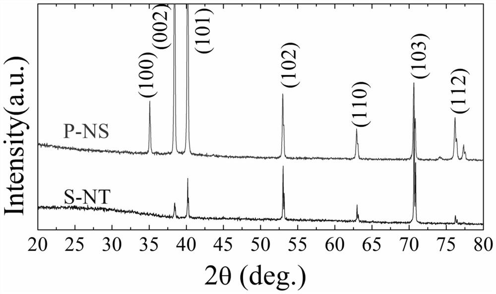 Titanium implant with nano bionic three-dimensional porous titanium trabecular structure as well as preparation method and application of titanium implant