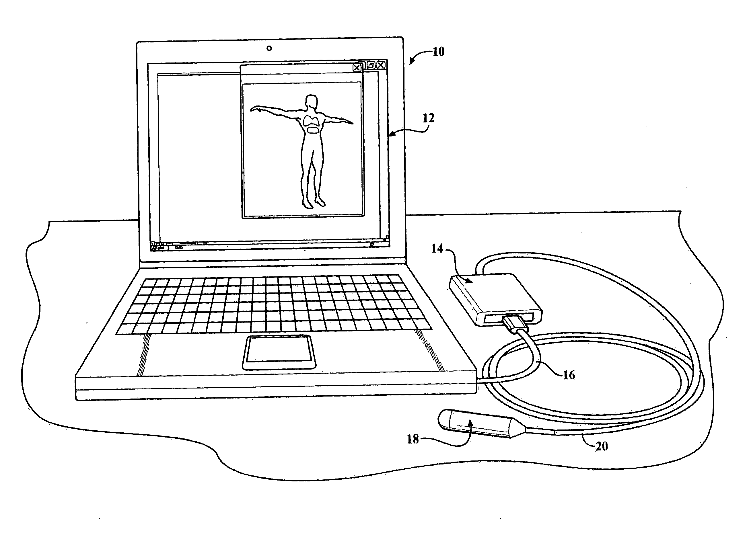 System and method for non-invasive diagnostic of mammals
