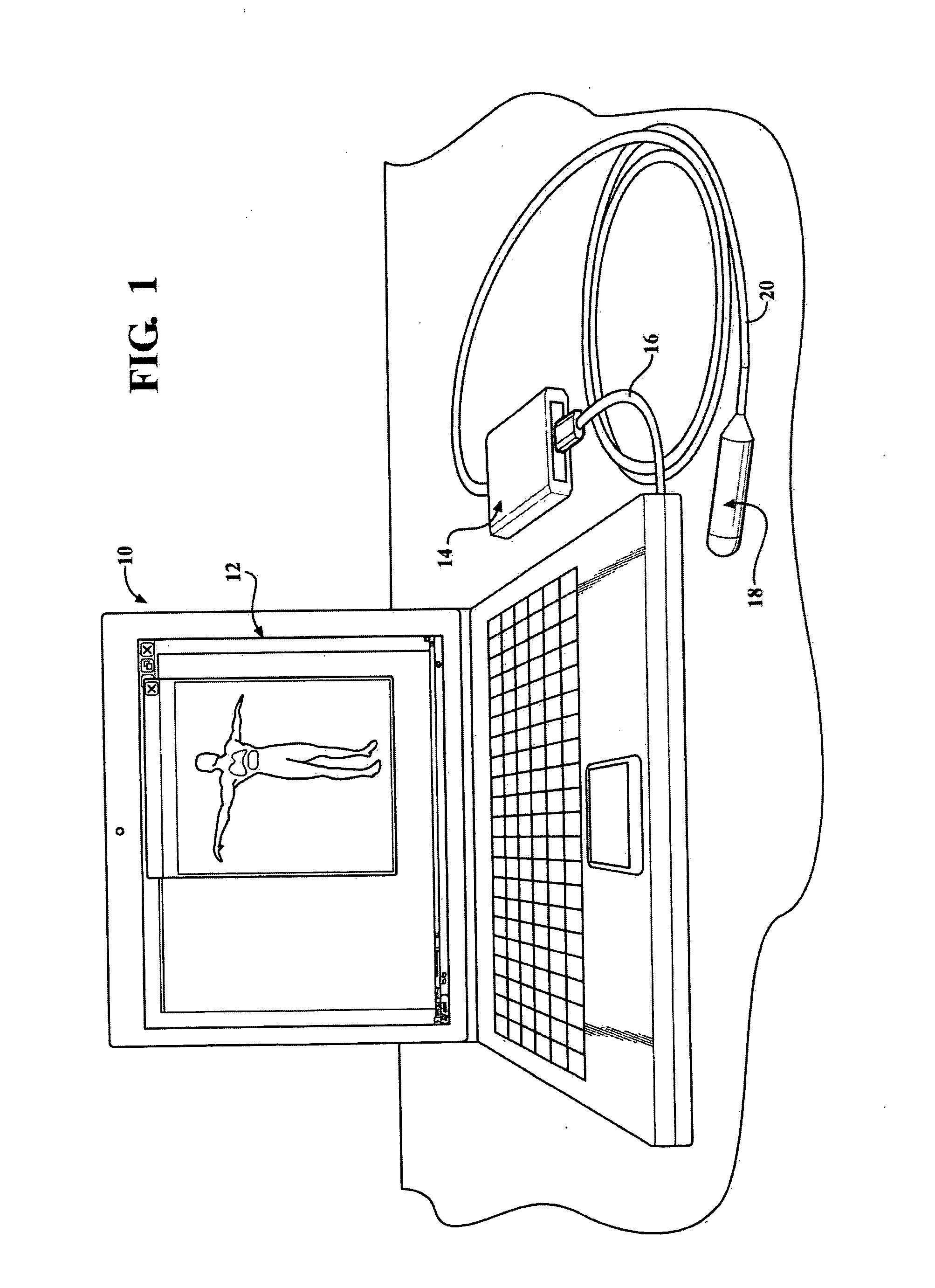 System and method for non-invasive diagnostic of mammals