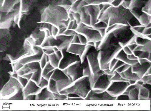 Nanosheet self-assembly ferrocobalt hydroxide and preparation method thereof