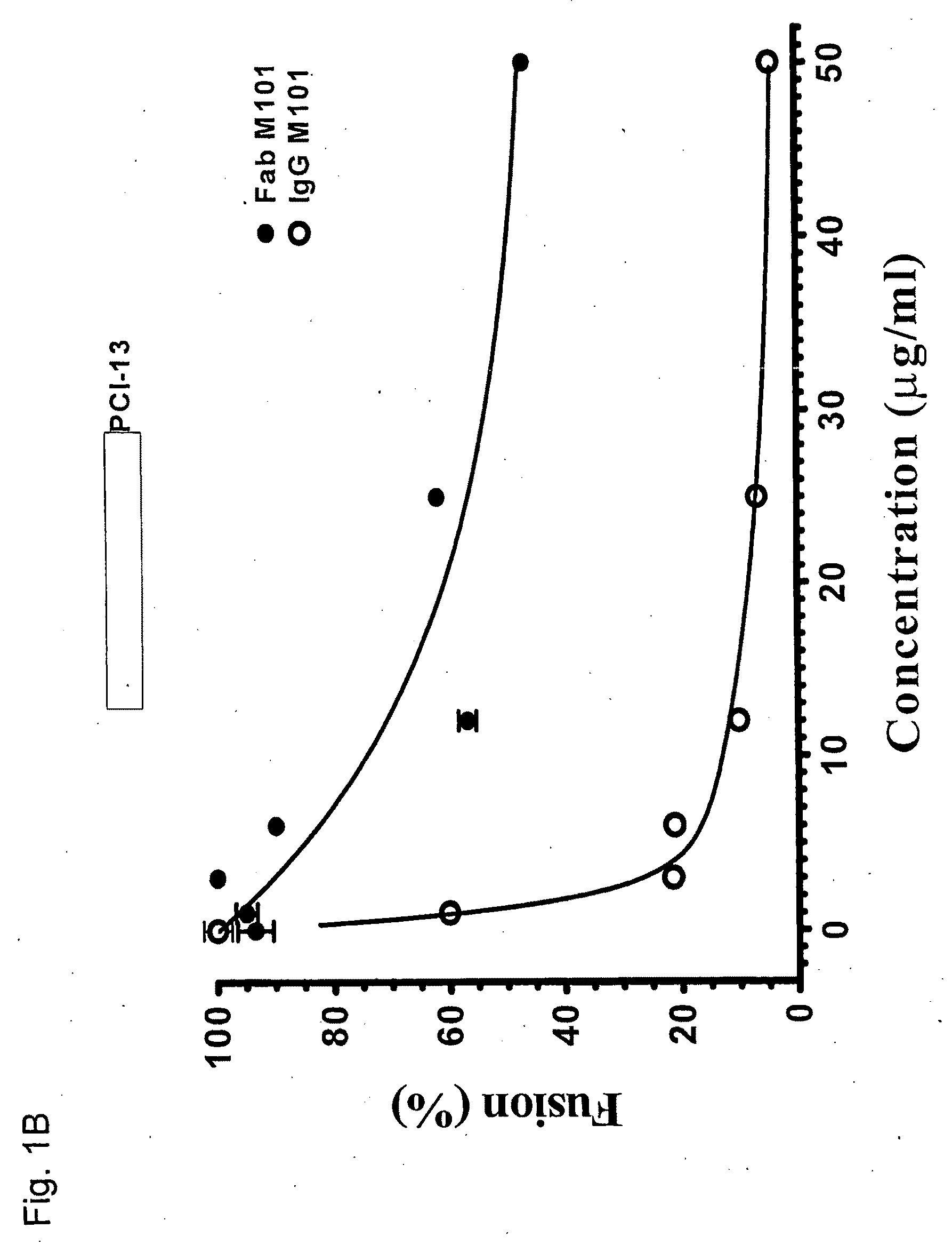 Human Monoclonal Antibodies Against Hendra and Nipah Viruses