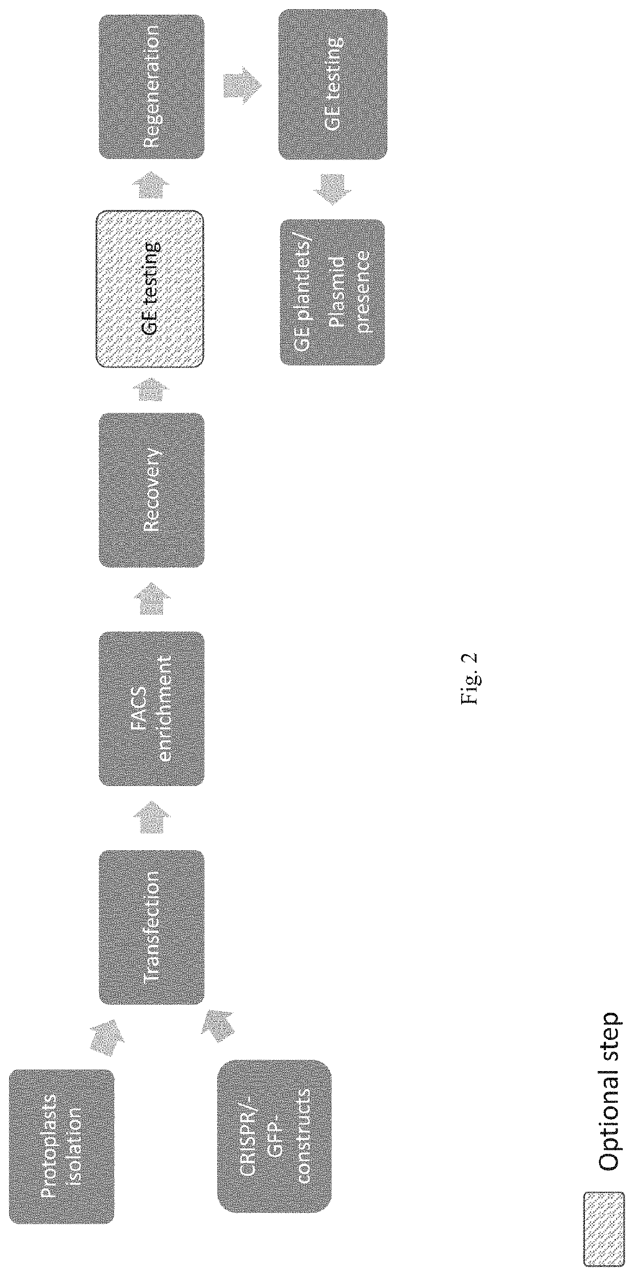 Compositions and methods for increasing shelf-life of banana