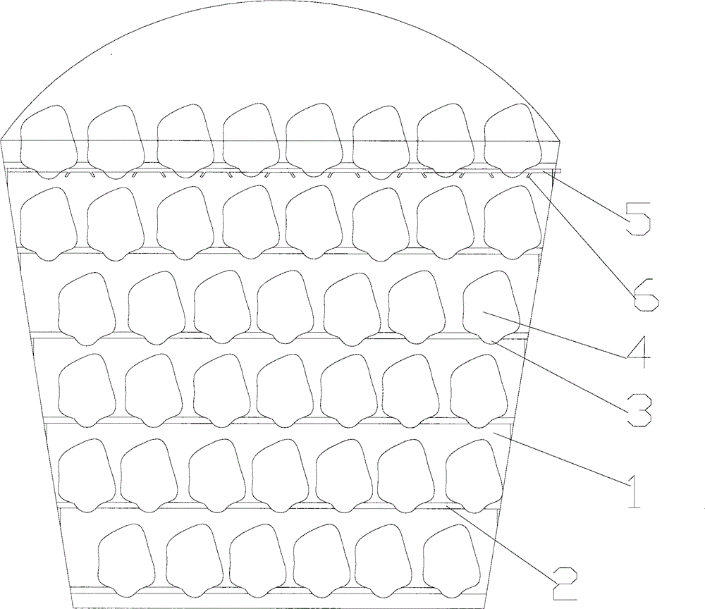 Strawberry transportation device