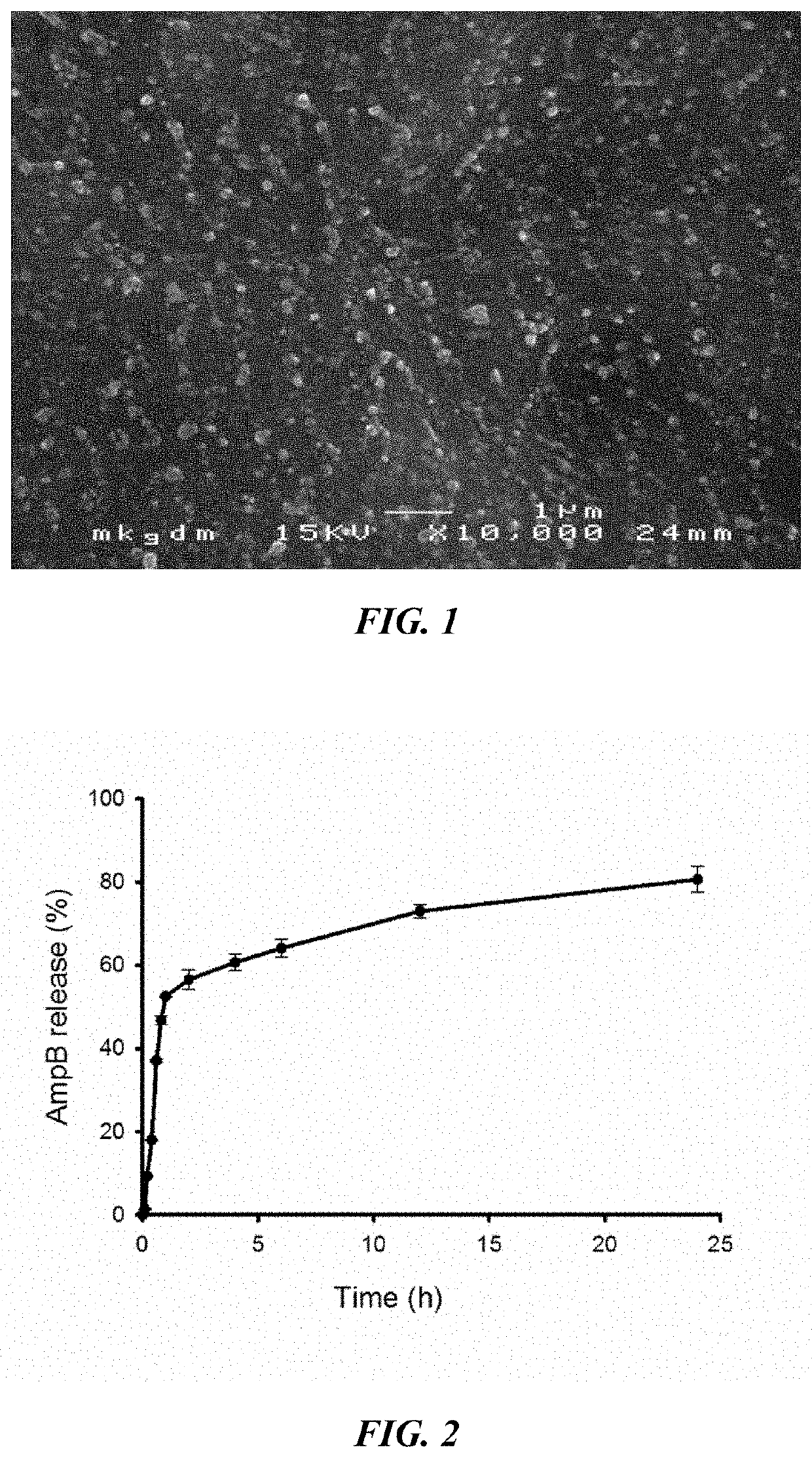 Amphotericin b and beta-1,3-glucanase loaded bi-functional nano-system with both targets, preparation method and application thereof