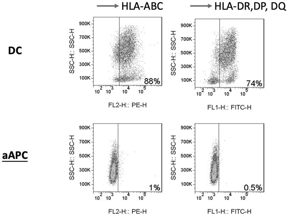 A kind of universal novel coronavirus vaccine and preparation method thereof