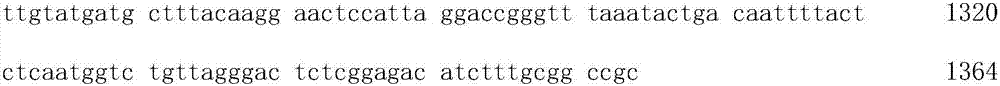 Preparation and application of pichia pastoris whole-cell catalyst for intracellular expression of candida tropicalis lipase