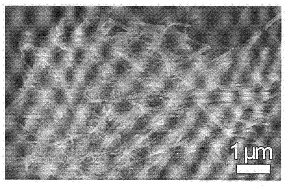 Method for synthesizing vanadic acid zinc overlength nanowire material by microwave radiation