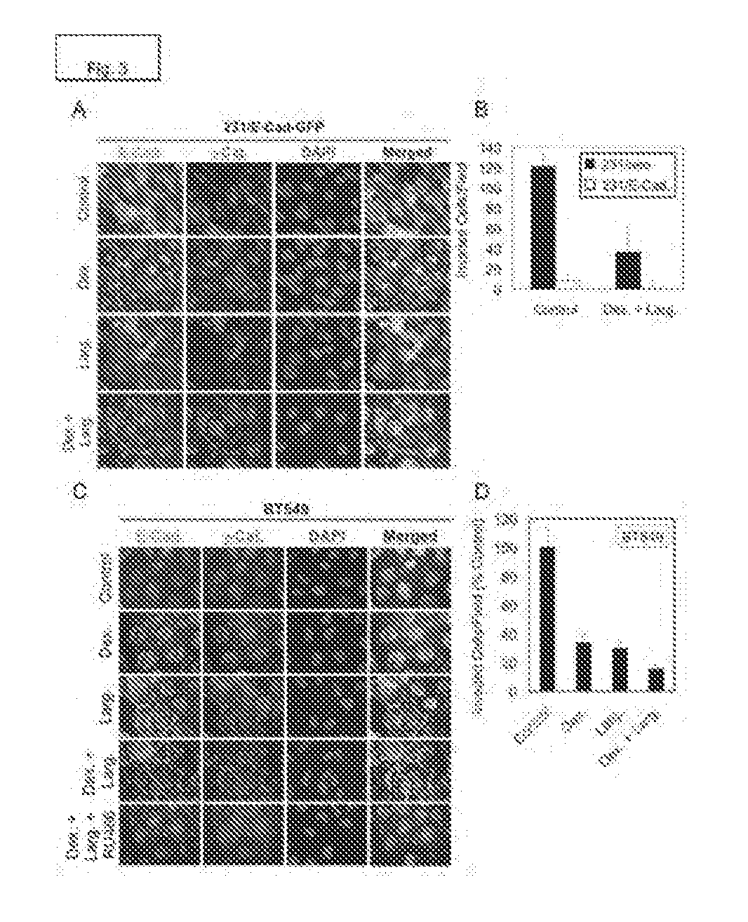 Combination compositions and methods of treatment