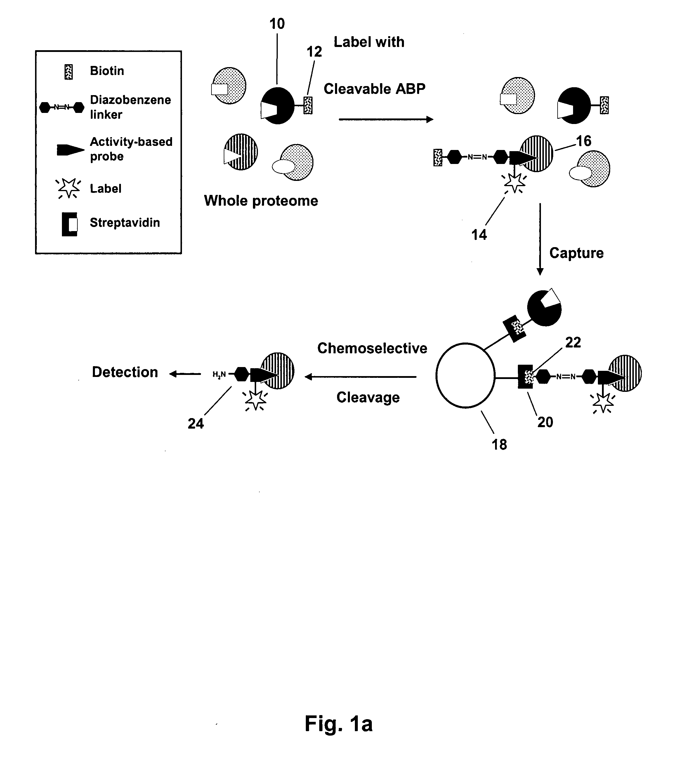 Mild Chemically Cleavable Linker System