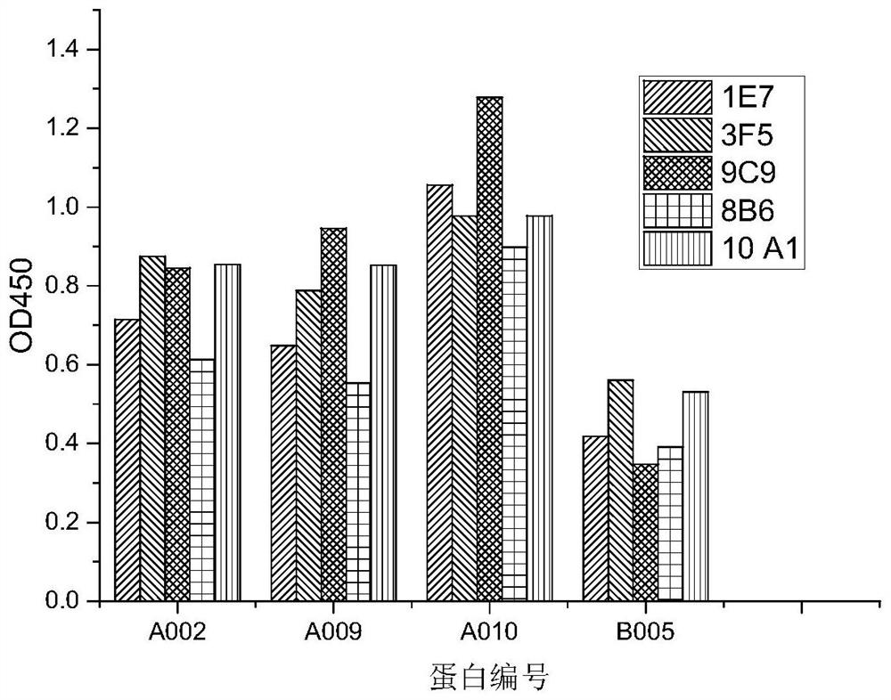 Antibody with double mic binding activity and application thereof