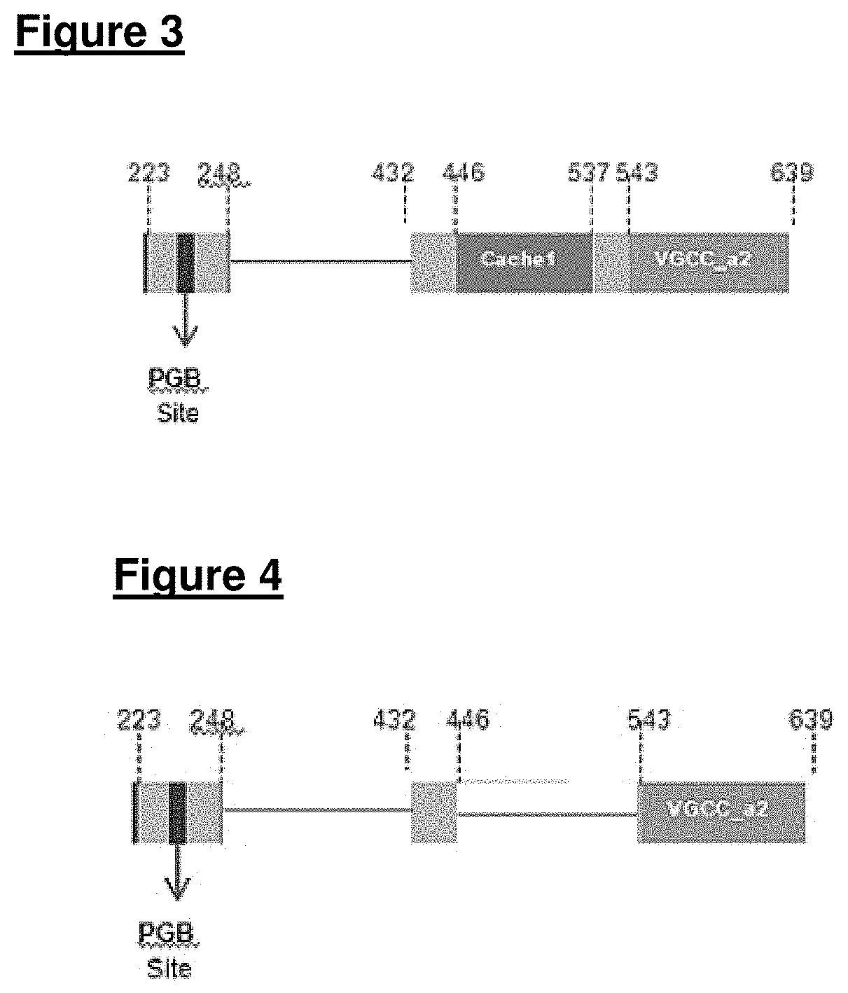 Voltage-Gated Calcium Channel Auxilliary Subunit Alpha 2 Delta and Uses Thereof