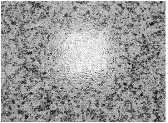 A large-scale simulated granite porcelain thin plate and its preparation method