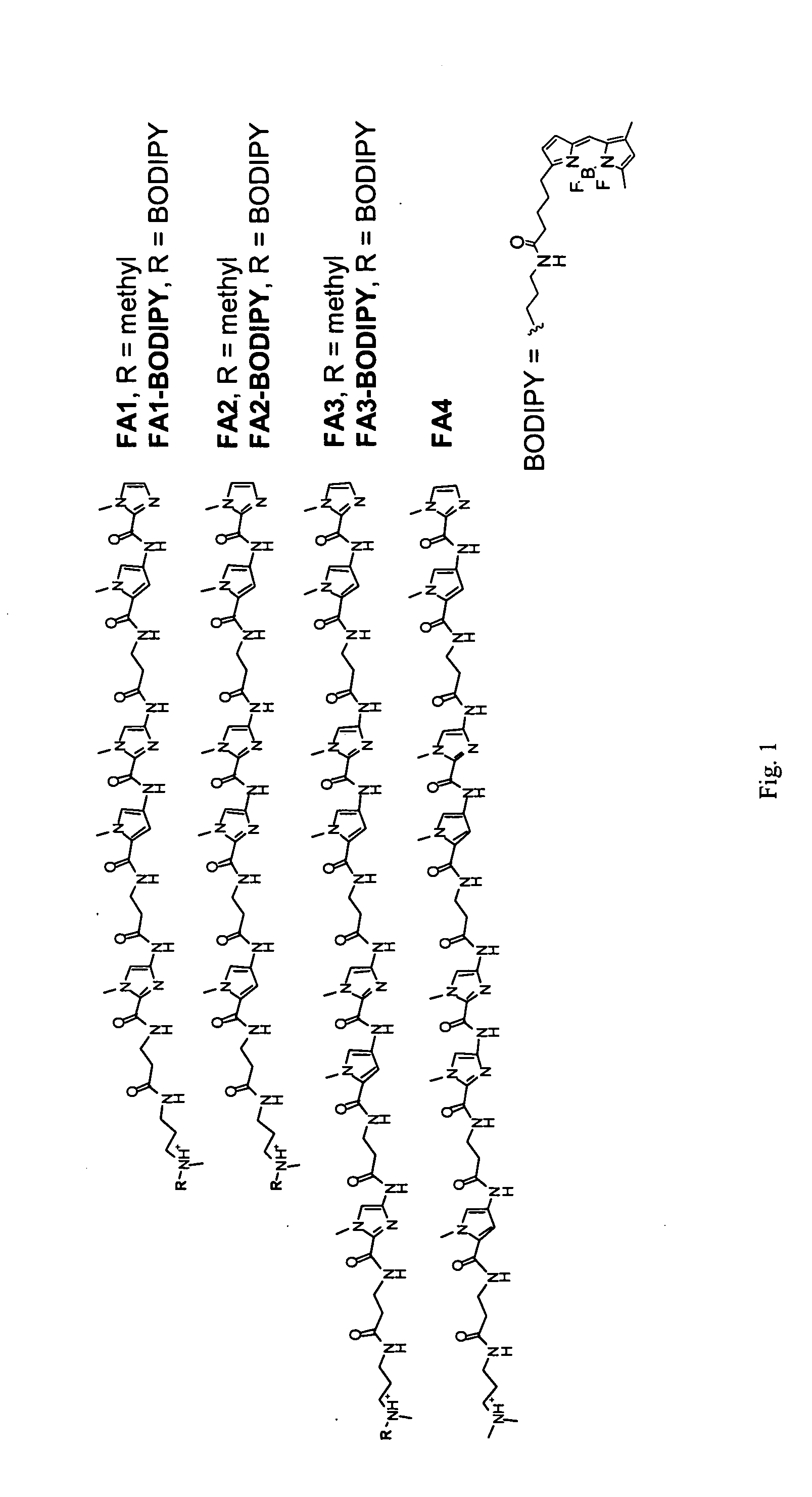 Small molecule therapeutics and uses therefor